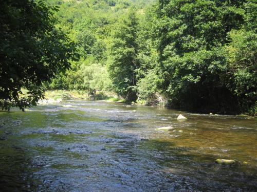 chubs-yantra-river-gostilica-04