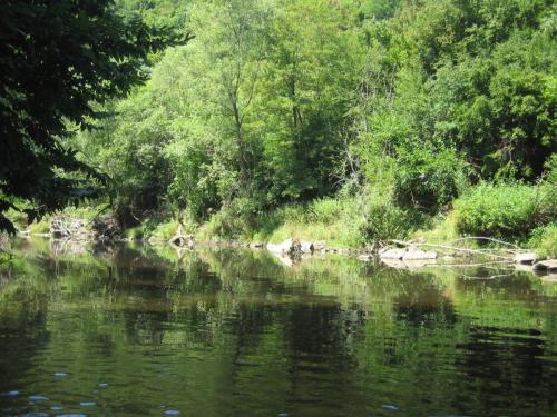 chubs-yantra-river-gostilica-06