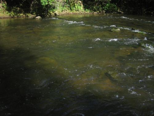 chubs-yantra-river-gostilica-07