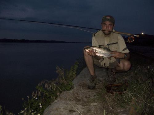 danube-streamer-again-08