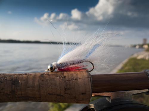 danube-streamer-again-12