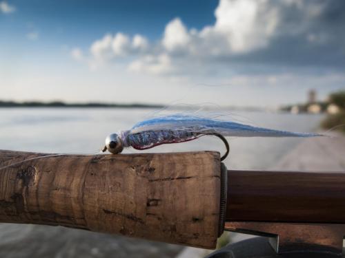 danube-streamer-again-13