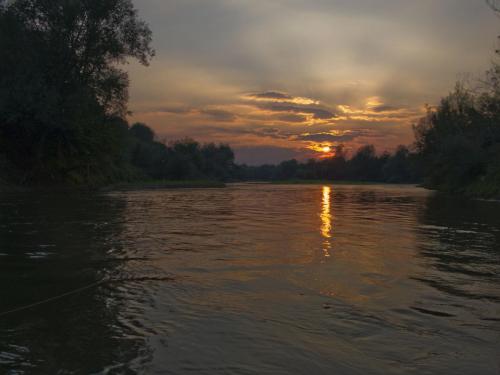 danube-streamer-yantra-02