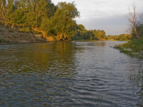danube-streamer-yantra-08