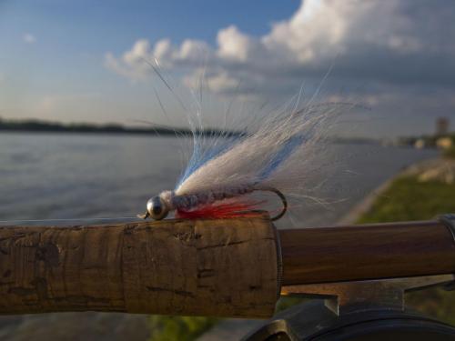 danube-streamer-yantra-11