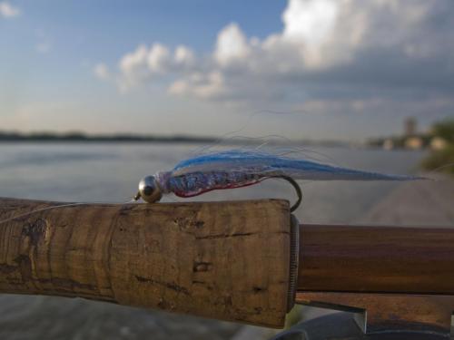 danube-streamer-yantra-13