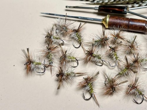 Delaware Adams 14