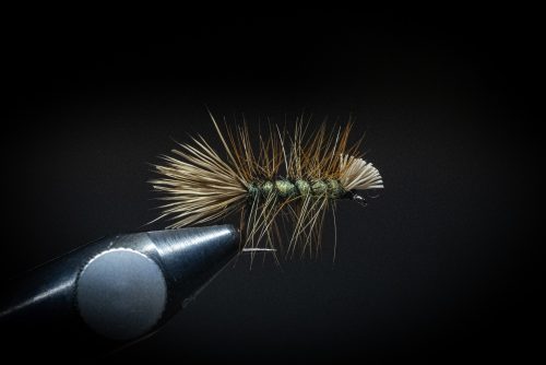 Dyret Fly Sweden