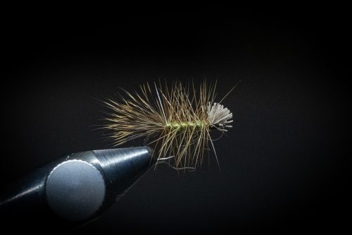Dyret Fly Sweden
