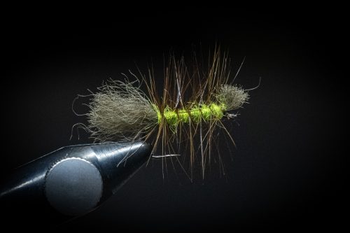 Dyret Fly Sweden