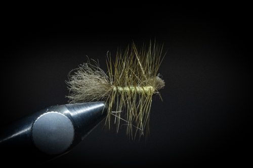 Dyret Fly Sweden