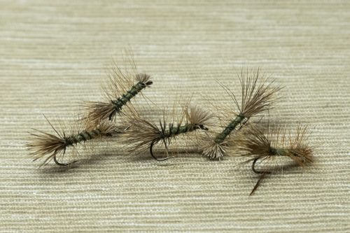 Dyret Fly Sweden