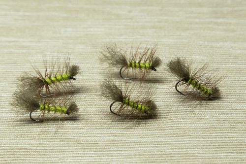Dyret Fly Sweden
