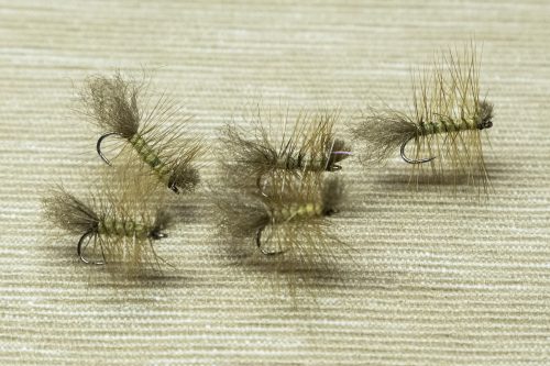 Dyret Fly Sweden