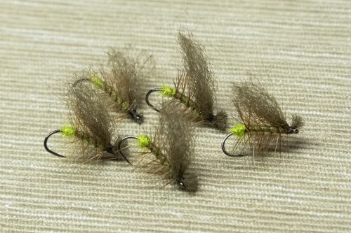 Dyret Fly Sweden