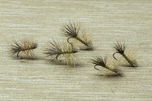 Dyret Fly Sweden