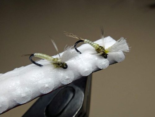 Emergers 20