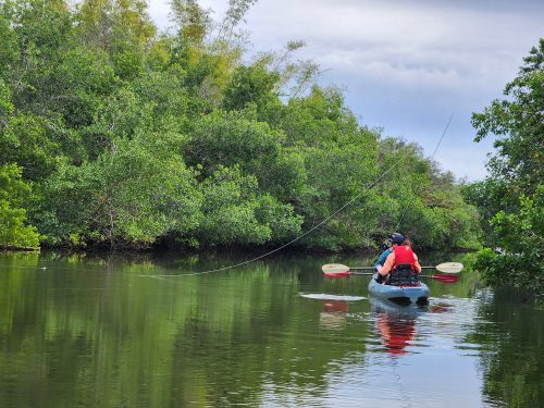 estero-river-florida-04