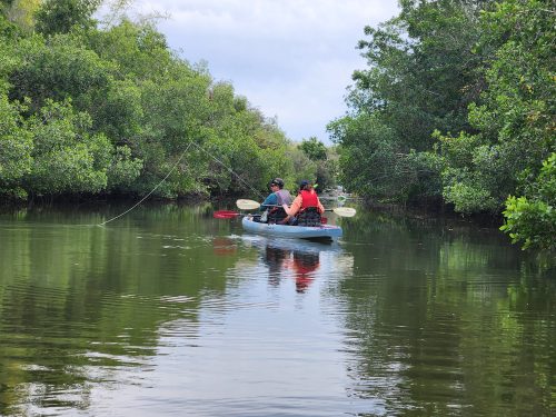 estero-river-florida-05