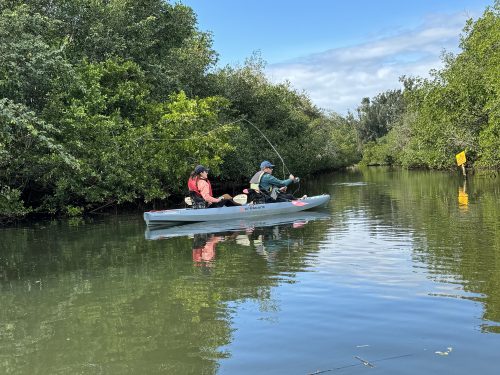 estero-river-florida-10