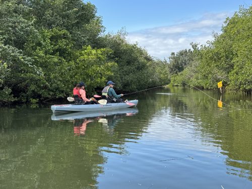 estero-river-florida-11
