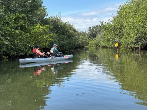 estero-river-florida-12