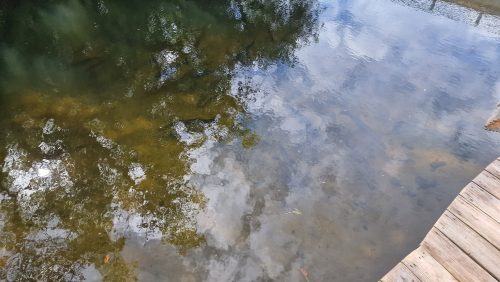 estero-river-florida-202402