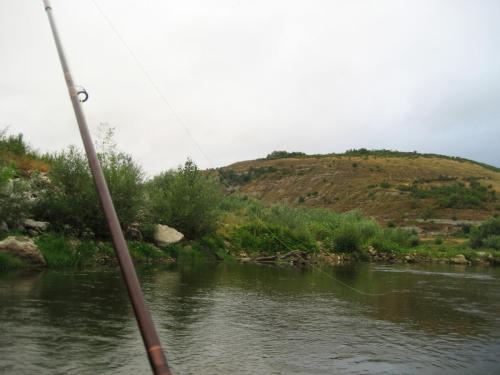 first-asp-on-spey-rod-01