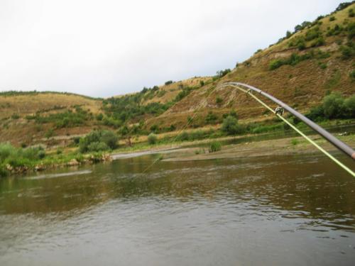 first-asp-on-spey-rod-02