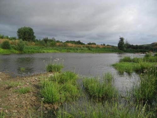 first-asp-on-spey-rod-10