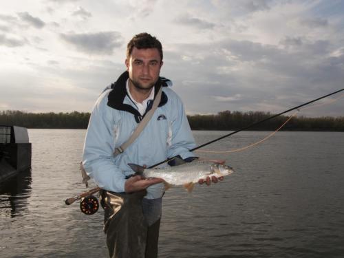 first-asps-on-tube-fly-01