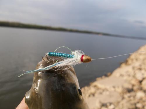 first-asps-on-tube-fly-06