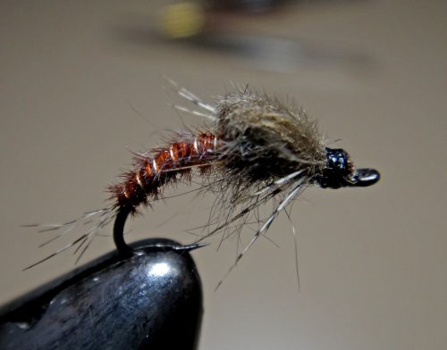 Floating Nymph 14