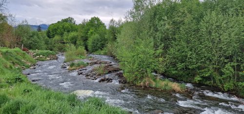 fly-fishing-fair-romania-2023-01