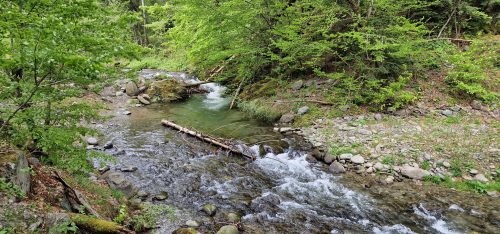 fly-fishing-fair-romania-2023-44