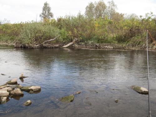 fly-fishing-rositsa-river-2014-04