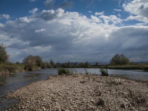 fly-fishing-rositsa-river-2014-07