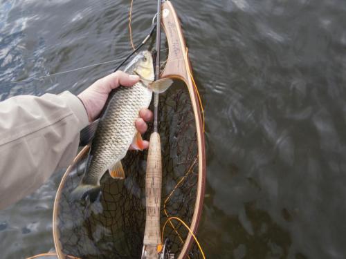 fly-fishing-rositsa-river-2014-08