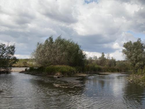 fly-fishing-rositsa-river-2014-09