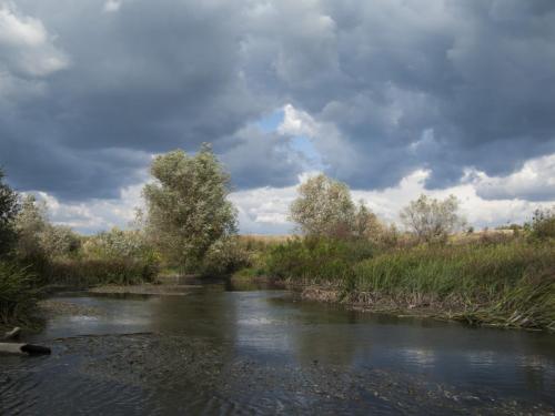 fly-fishing-rositsa-river-2014-10