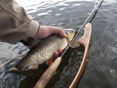 fly-fishing-rositsa-river-2014-11