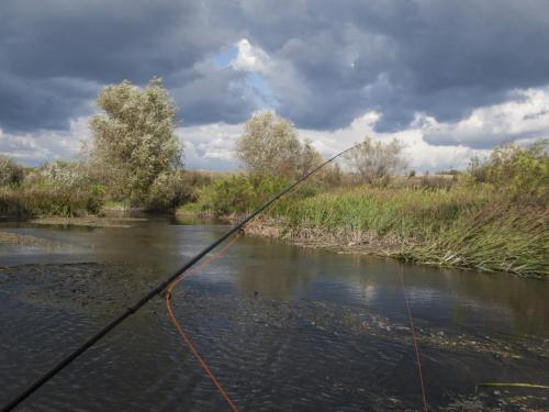 fly-fishing-rositsa-river-2014-12