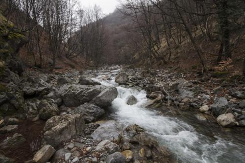 flyfishing-in-mountain-13