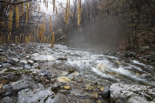 flyfishing-in-mountain-26