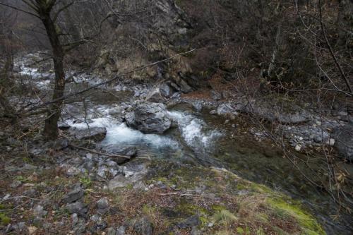 flyfishing-in-mountain-30