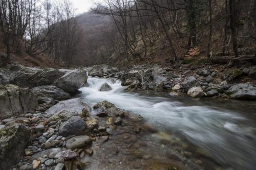 flyfishing-in-mountain-35