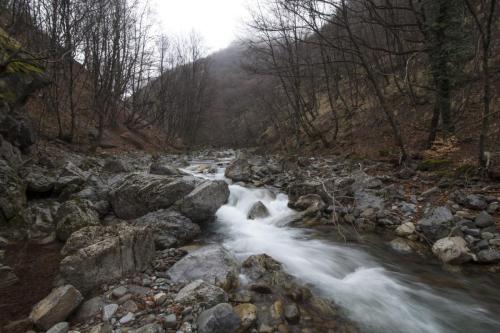 flyfishing-in-mountain-41