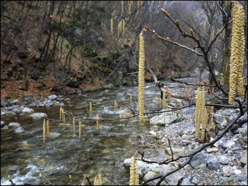 flyfishing-in-mountain-44