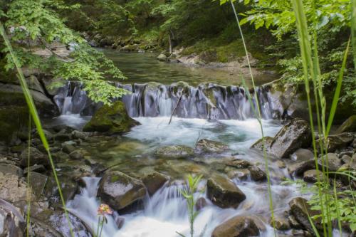 flyfishing-with-friends-in-mountain-01