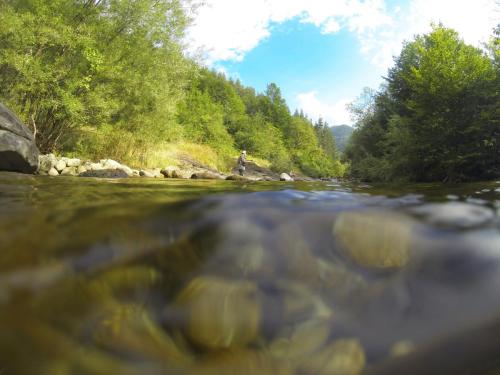 DCIM101GOPRO